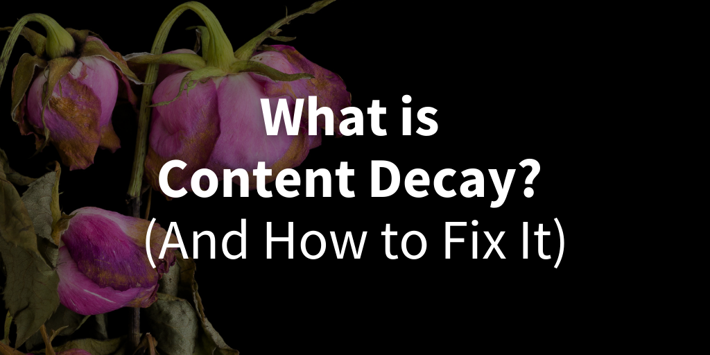 Starling Social - What is Content Decay? (And How to Fix It)